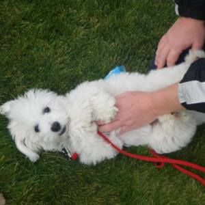 Meet your Posher, John